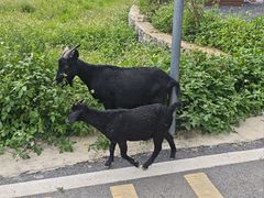 -明仕田园