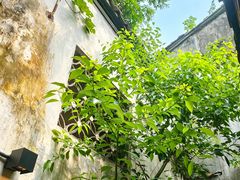 -院子餐厅·大锅菜·老杭帮(桥西直街店)