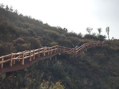 -五龙城郊森林公园