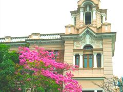 -香港大学