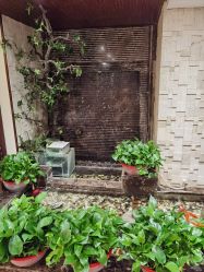 -至爱至信新中式SPA疗愈会所