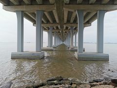 -宝安西湾红树林湿地公园