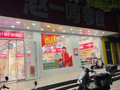 -赵一鸣零食(南京上元大街店)