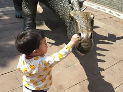 -世界恐龙谷景区