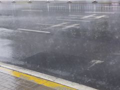 -第35届青岛国际啤酒节