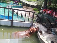 -灵玲国际马戏城