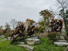 -上海海湾国家森林公园