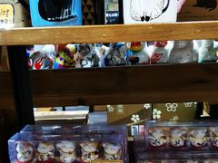 -猫咪博物馆(顶澳仔猫街店)