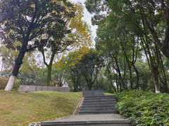 -重庆市江北嘴中央商务区中央公园