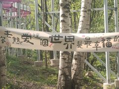 -帽儿山风景区