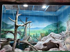 -福州罗源湾海洋世界旅游区