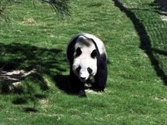 -临沂动植物园