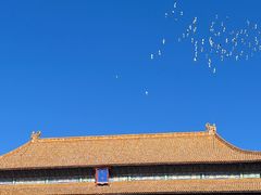 -故宫博物院(故宫)