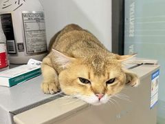-AK健身普拉提拉伸私教馆(中八店)