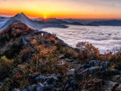 -秦岭风景区