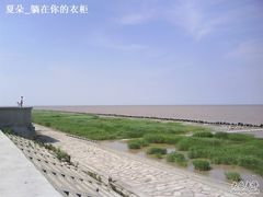 -南汇嘴观海公园