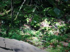 -叠溪松坪沟景区