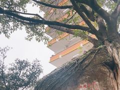 -鹅岭公园瞰胜楼