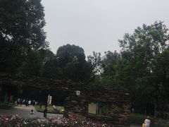 -温江公园