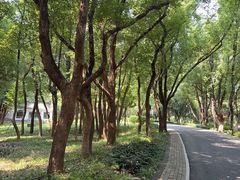 -东湖落雁景区