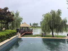 -苏州湾·王焰温泉