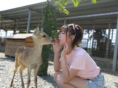 -鹿境梅花鹿生态园区