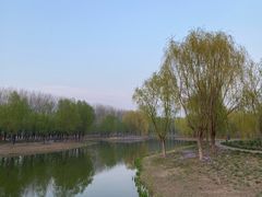 -东郊湿地公园