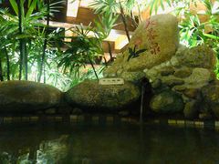 -三江森林温泉度假区