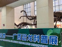 -广西壮族自治区博物馆