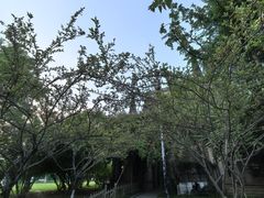 -成都南湖公园