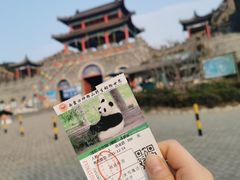 -西霞口神雕山野生动物世界