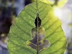 -惠友大虾(太原北街店)