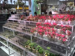 -KKV(深圳宏发大仟里店)