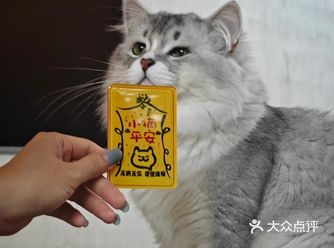 在这喧嚣尘世的一隅，我邂逅了这家咖啡厅