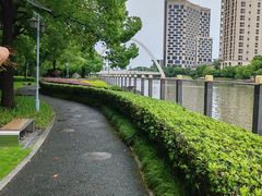 -陈家山荷花公园