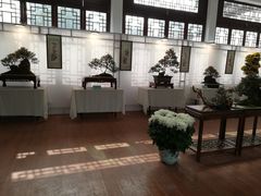 -莲湖公园