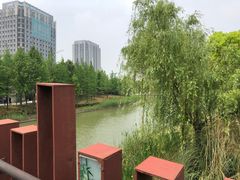 -南翔镇银翔湖公园
