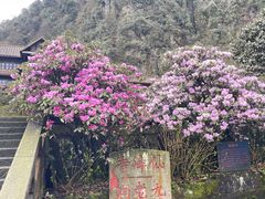 -峨眉山风景名胜区