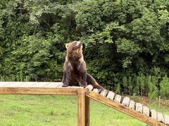 -杭州野生动物世界