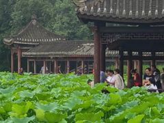-龙头寺公园