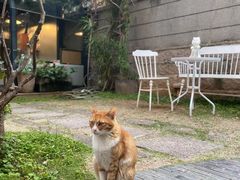 -厦门良筑精品酒店(厦门中山路店)