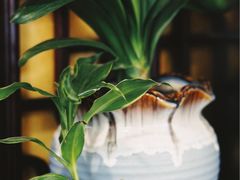 -湖鲜楼