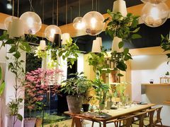 -柴务处·柴犬主题狗咖