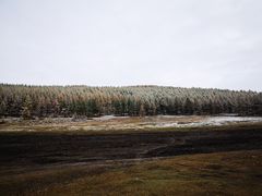 -塞罕坝国家级自然保护区