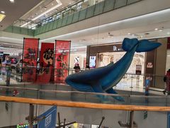 -凯德广场(学府店)