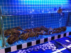 龙虾-臻味小馆融合菜