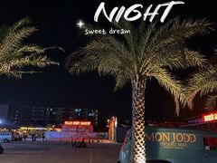 -席娜卡琳火车铁道夜市