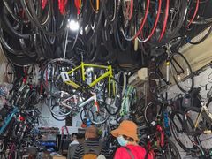 -道路口单车爱瓦士dahon大行