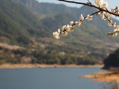 -广州市流溪河国家森林公园