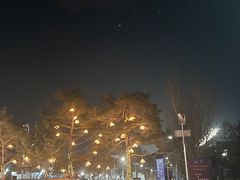 -中旅松花湖滑雪场